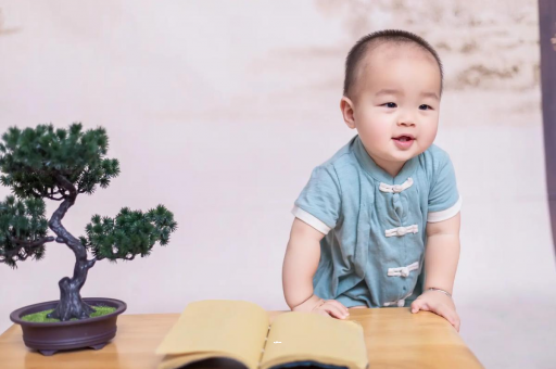 红河可爱的企鹅宝宝
